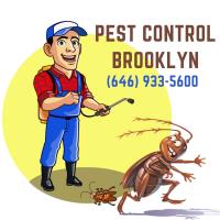 Pest Control Brooklyn image 1